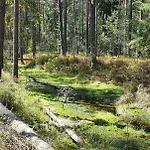 Eco Z Duzym Ogrodem I Widokiem ムジャシフレ