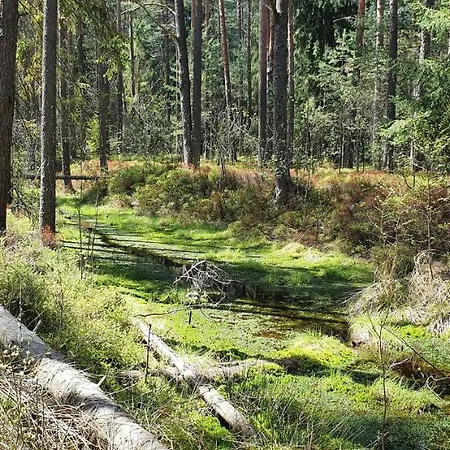 Eco Z Duzym Ogrodem I Widokiem Murzasichle