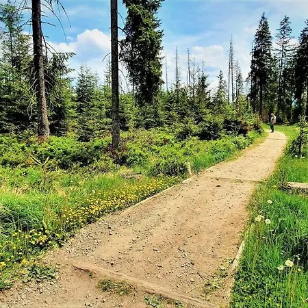 Domek alpejski Mini Eco Z Dużym Ogrodem I Widokiem Murzasichle
