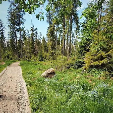 Eco Z Duzym Ogrodem I Widokiem Murzasichle