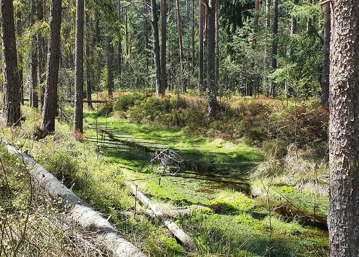 Eco Z Duzym Ogrodem I Widokiem מורזאסיחלה